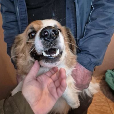 643759517 1306028844889499 7126666339221965591 n