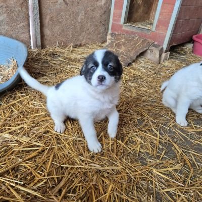 643843949 825081127281991 194765005781212489 n