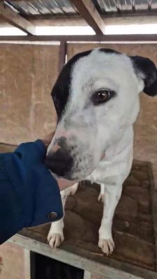 644045943 1574330843655390 2555768469494197589 n