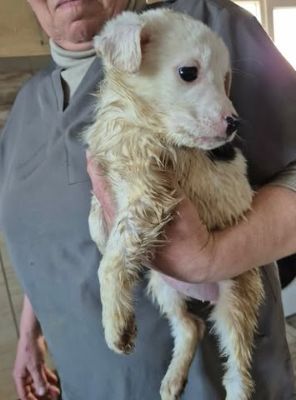 644103193 26130336659940247 7386800734207365882 n