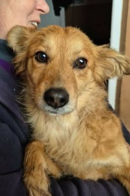 644217466 26130238789950034 2056647908364942369 n