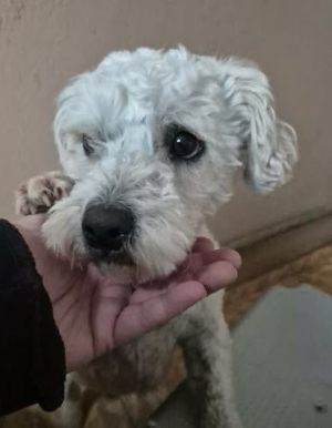 644232147 26689599493993678 280163951655599436 n