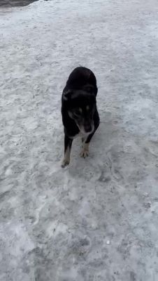 644491719 1624238112253666 7799148865453868302 n