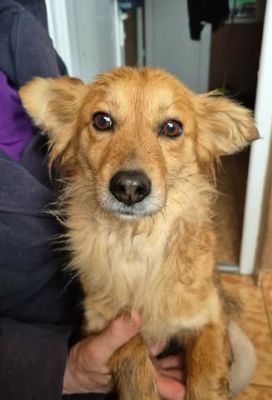 644496867 26130238993283347 2952129257129611138 n