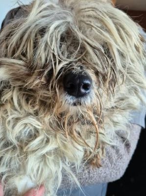 644496873 26130098059964107 5410100472520616026 n