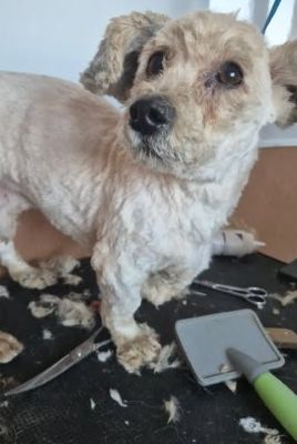 644565013 26139630292344217 2386967894261767217 n