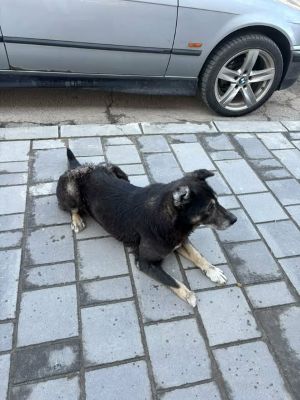 644570336 26129942073313039 5705027511391274238 n