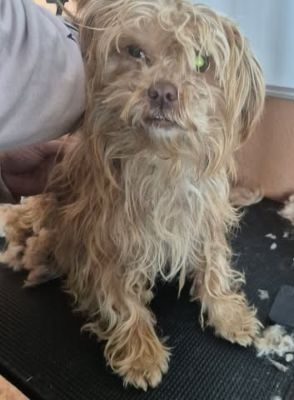 644911874 26139606559013257 4567474832534887467 n