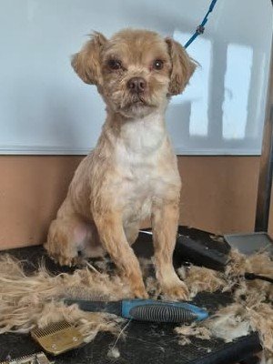 644939322 26139606572346589 6242502299056187315 n