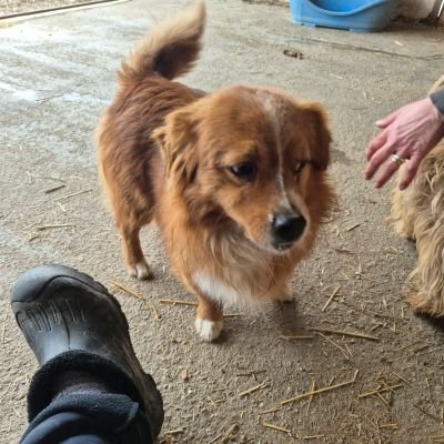 644962880 1457092175767756 2080479952291342742 n