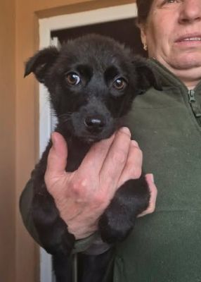 645060238 1574492393849740 5208644405493045200 n