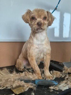 645135243 26139606565679923 149806771019170438 n