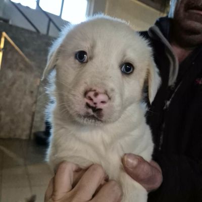 645208336 935667179151503 1504177886561992192 n