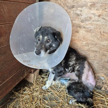 645313017 1999080350679946 7011303773874054249 n