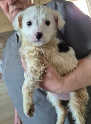 645420442 26130335799940333 6511994899985404395 n