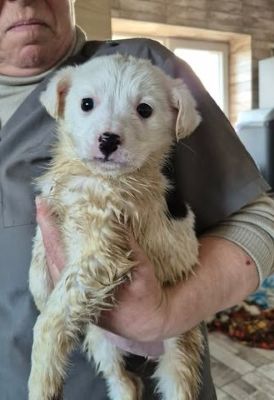 645425318 26130337063273540 2809646637070030919 n