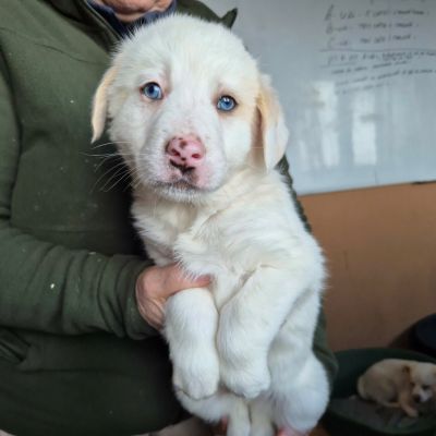 645508212 25902499552712203 2003294888629988129 n