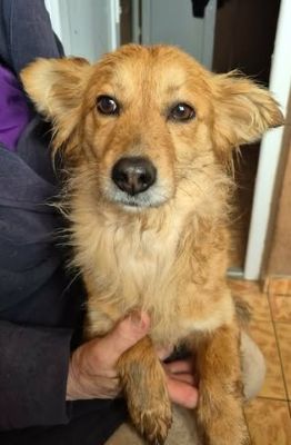 645751332 26130238793283367 143539167561170396 n