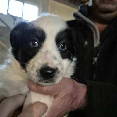 645950384 1300576731883701 6381356446810018853 n