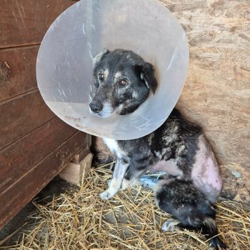 646130387 1638326234086137 4414107614376975143 n