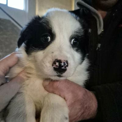 646137380 1300772258610319 3532143896858015464 n