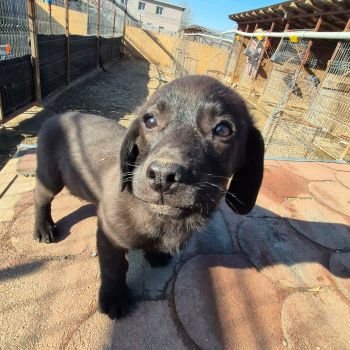 646213746 1634685717566511 615102851499249245 n