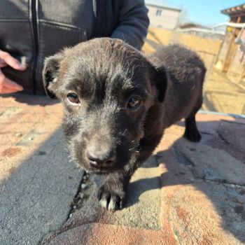 646240683 1436828558136910 2914339112884899 n