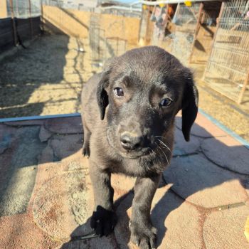 646322246 3119283838273646 6885704043882665726 n