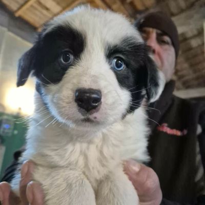 646329945 938835655191619 3091277948581476875 n