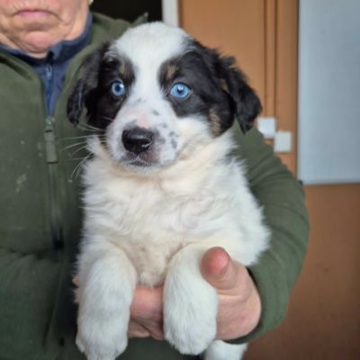 646520096 25307206288954112 3718855013697975627 n