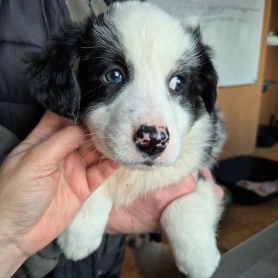 646683967 1707938013921652 1957209563481234288 n