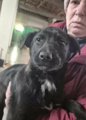 646902444 26202886242685288 115278092943610089 n