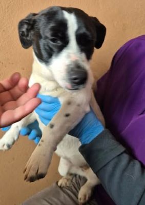 647142110 26195042753469637 3828730283915529674 n