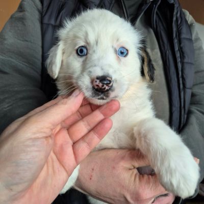 647150764 1545641246539465 6714831113162005094 n