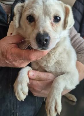 647156164 26202794749361104 636108647194968172 n