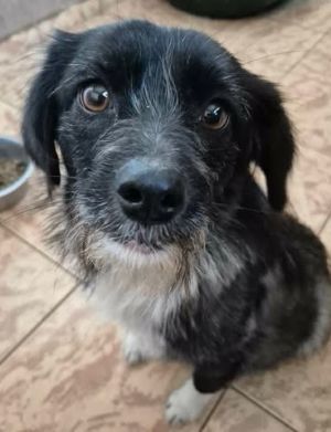 647164151 26195138413460071 8362061370043186060 n