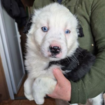 647253039 3021524478048482 4710698015685809980 n