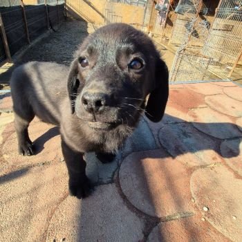 647280814 714273301675052 8731367439668456952 n