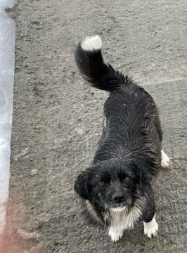 647394146 26195138416793404 8373917727968623747 n