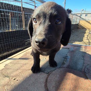 648045924 2103515786714712 8858932674552152324 n