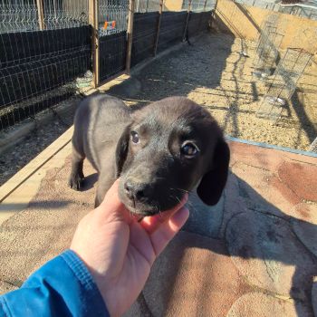 648169752 1397389248737104 2251480973439065683 n