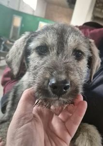 648400419 26202906319349947 902430655372385253 n