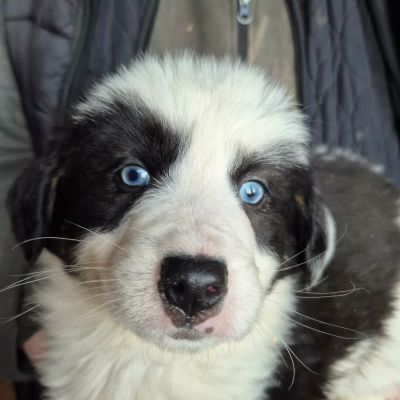 648412852 1166988068696707 4297894906009961027 n