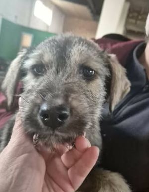 648422900 26202906316016614 5665026336315272195 n