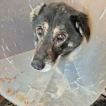 648433195 946767185068921 7404201495854877654 n