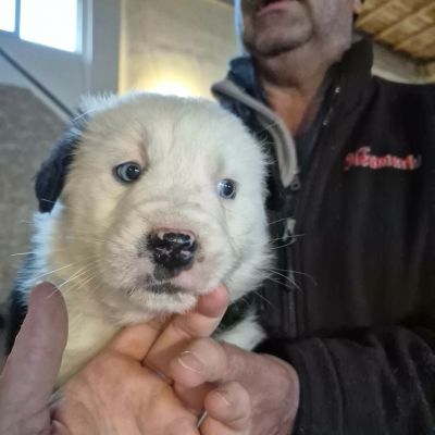 648474610 2914741132054846 2137718614518352225 n