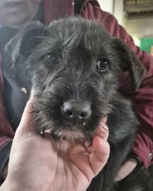 648480080 26202846942689218 366552403885497468 n