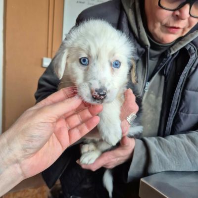 648533135 944217798108091 9074767424668991020 n