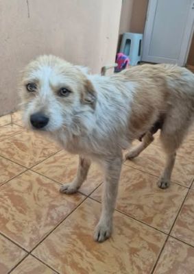 648778987 26194880473485865 1591535927981286223 n