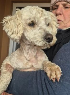 648845817 26202642469376332 2573624147098604898 n